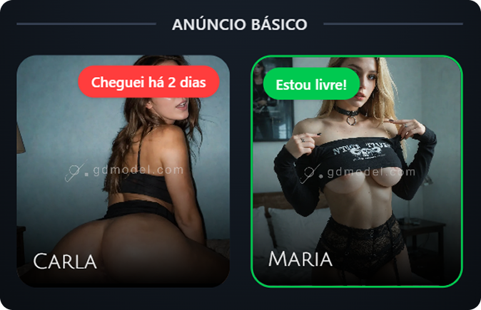 Exemplo — Card Básico